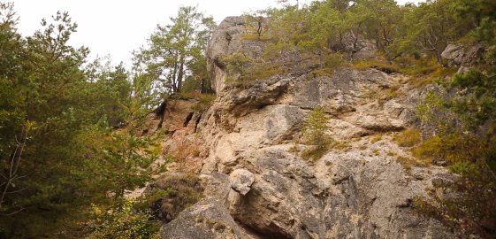 Prírodná pamiatka Briestenské skaly
